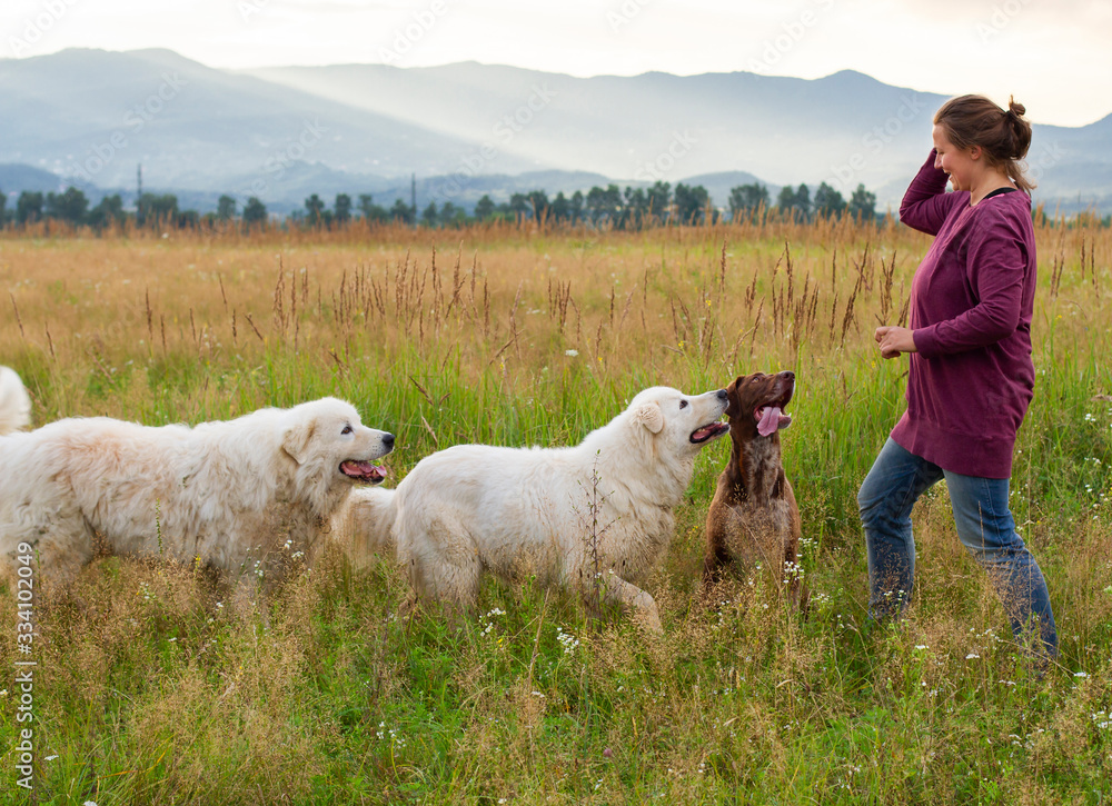 woman plays and trains dog pets woman plays and trains dog pets