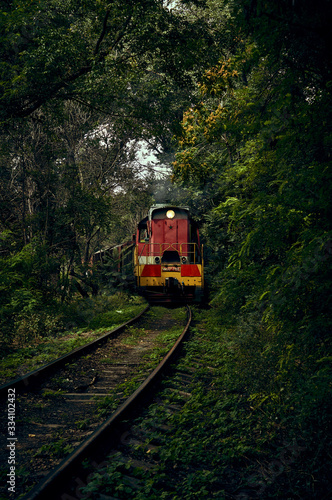 train in jungle
