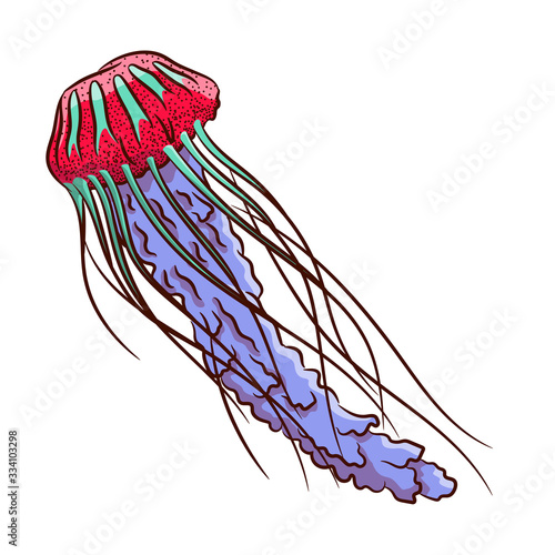 Multi-colored jellyfish isolated on white background. Medusa with long tentacles. Abstract image of an underwater inhabitant.Illustration in ink hand drawn style.