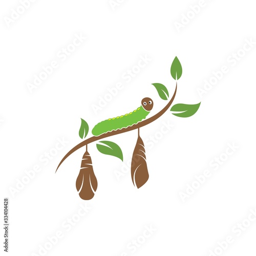 cocoon vector illustrtion design