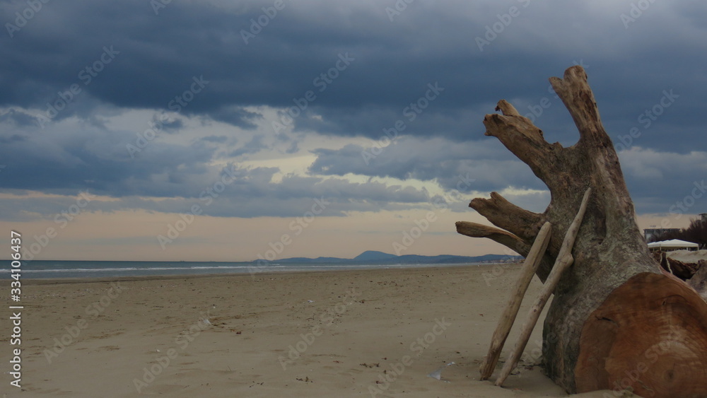 Paesaggio marino