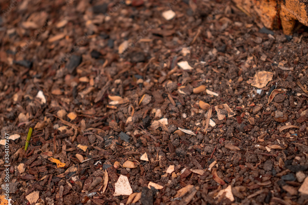 Earth Texture Earth Texture