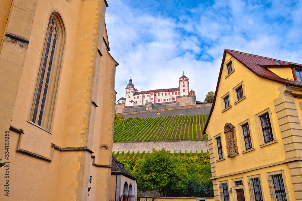 Wurzburg. Architecture and and scenic Wurzburg castle and vineyards in Wurzburg view
