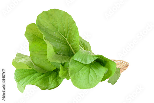 Home plant Chinese Cabbage-PAI TSAI or Brassica chinensis Jusl var parachinensis (Bailey) on bamboo tray isolated  over white background photo