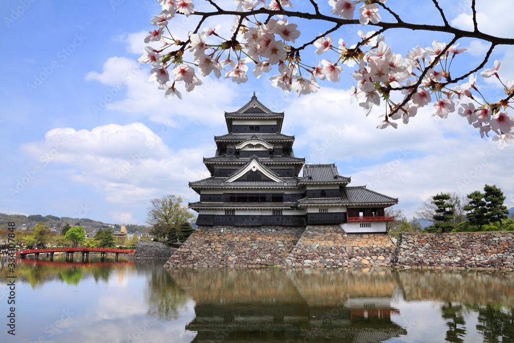 Naklejka premium Matsumoto, Japan. Cherry blossoms spring time flowers.