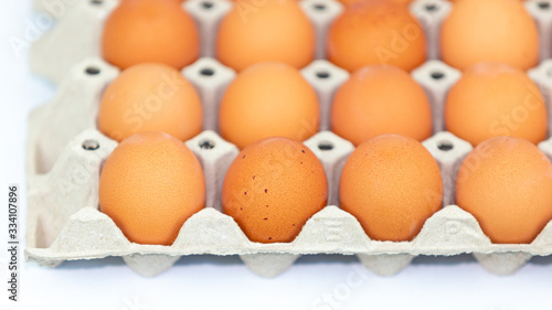 Fresh eggs on the tray isolated on white background