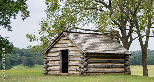 Log Cabin Under the Trees