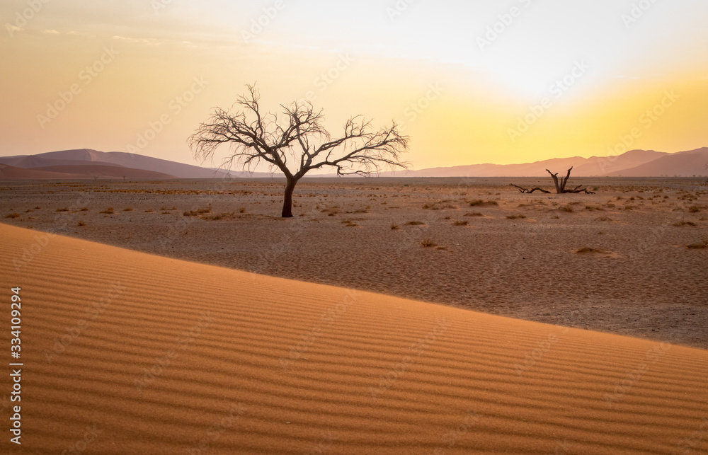 A Desert scene in Namibia