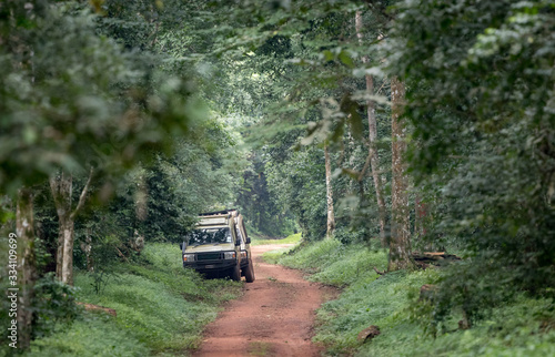 Safari Vehicle in a forest