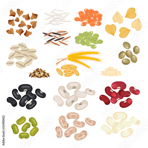 Cereals beans and seeds healthy organic nutrition vector illustration