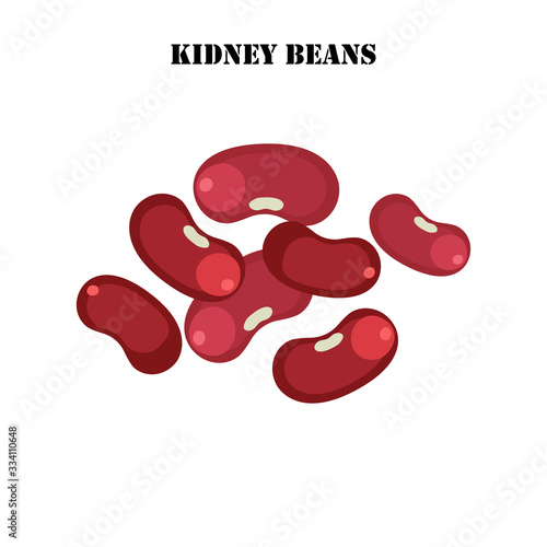 Kidney beans healthy organic nutrition vector illustration