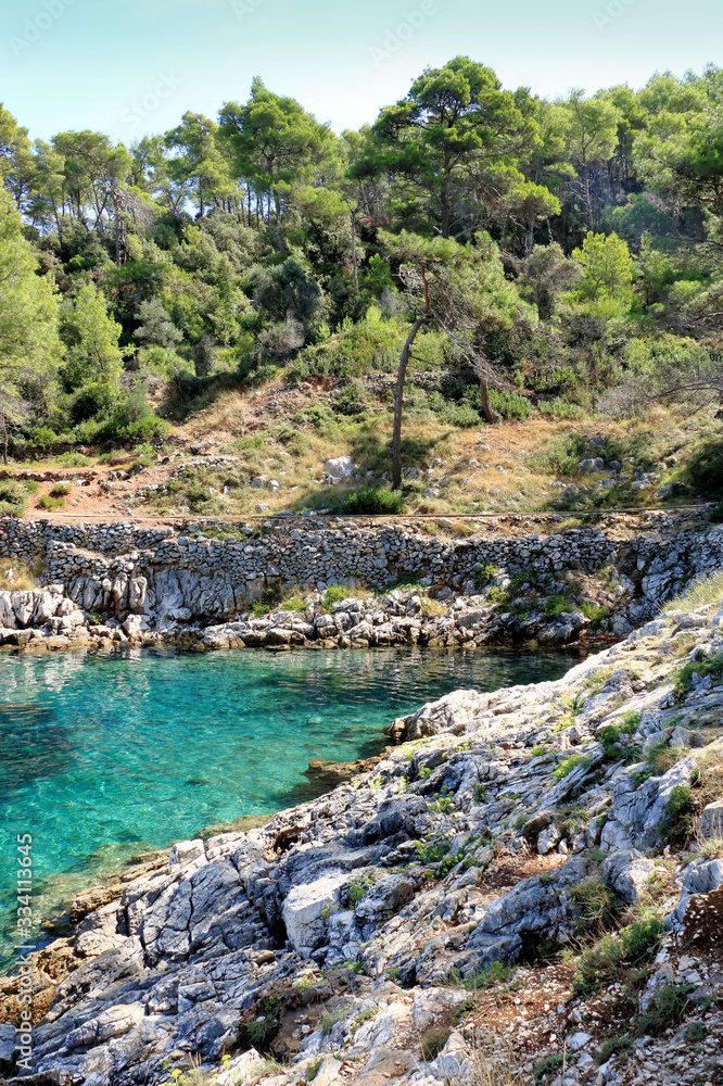 sea, rocks and trees, Vale Skura bay, Losinj, Croatia