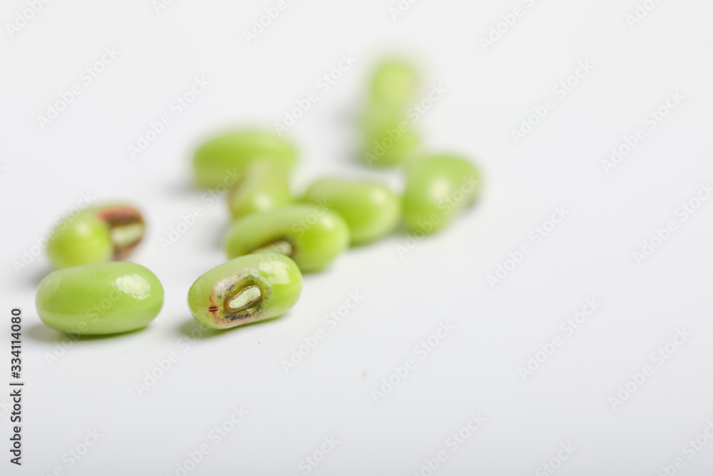 Yard long bean, A bunch of freshly picked cowpea isolated on white Yard long bean, A bunch of freshly picked cowpea isolated on white
