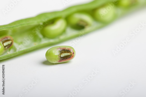 Yard long bean, A bunch of freshly picked cowpea isolated on white