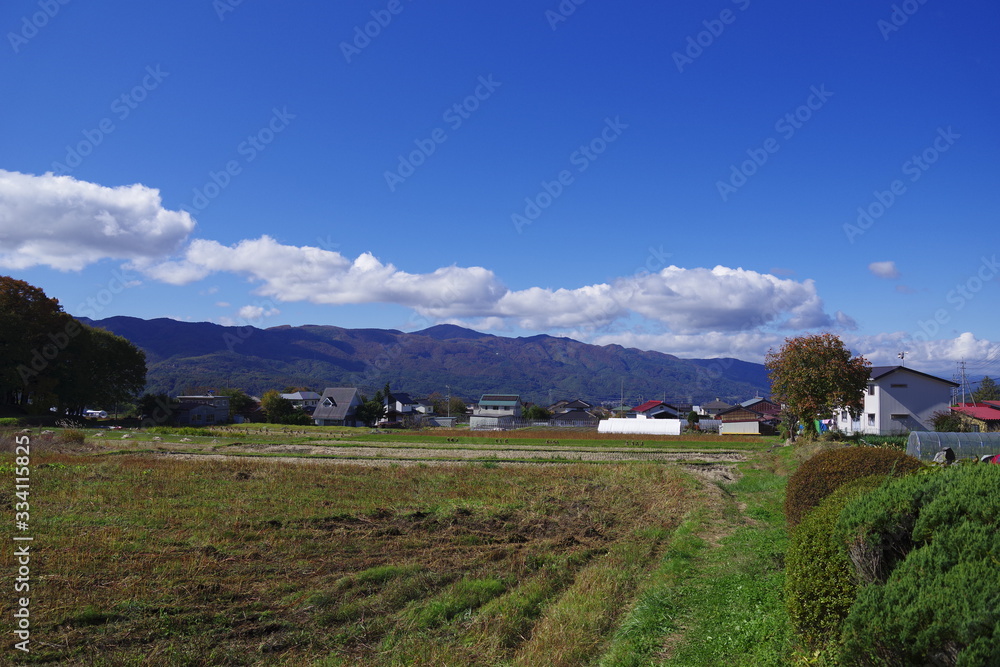 もみじ寺