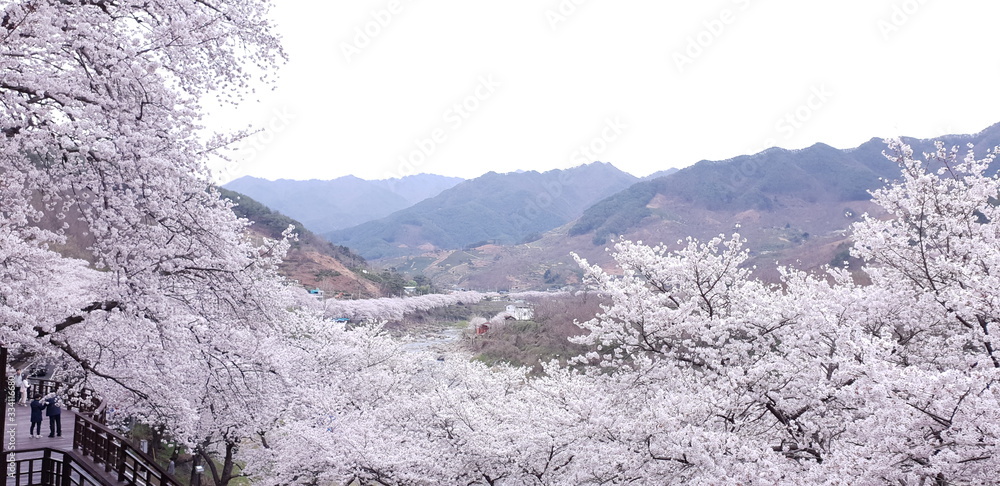 winter mountain landscape with mountains and trees winter mountain landscape with mountains and trees