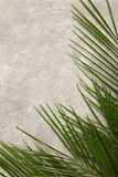 Green leaf of palm tree on grey concrete background, top view