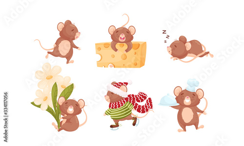 Cartoon Mouse Character with Long Pink Tail Holding Cheese Slab and Sleeping Vector Set