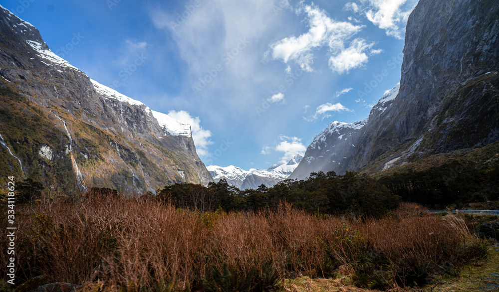 Beautiful panorama of a forest with the snow capped mountains of Milford Sound in the background taken on the SH94 road towards Milford Sound on a sunny winter day, New Zealand
