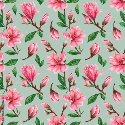 Seamless pattern of Magnolia flowers