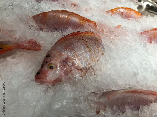 Frozen red tilapia fish on ice for sale in supermarket. Bunch of fresh raw fish