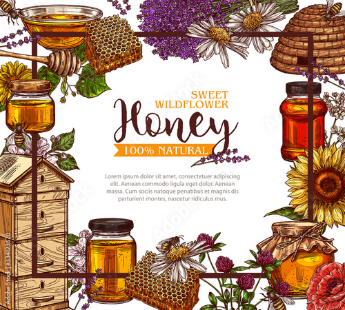 Honey background hand drawn vector. Poster or card with sketch illustrations of bees, hives, honey spoon, honeycomb, jars and wildflowers. Design template for beekeeping business