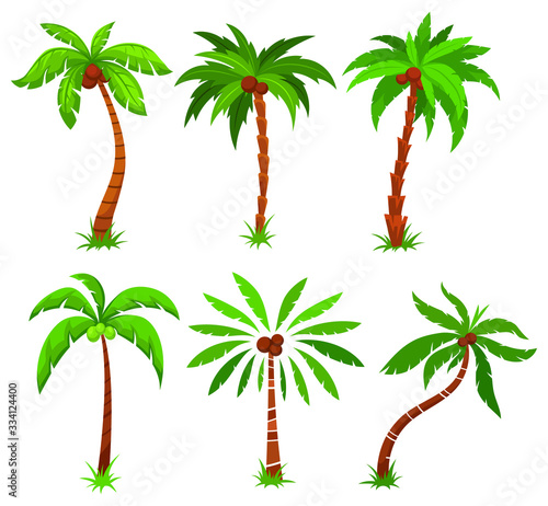 Set of palm trees. Collection of colored palm trees. Colorful illustration of coconut trees. Tattoos.