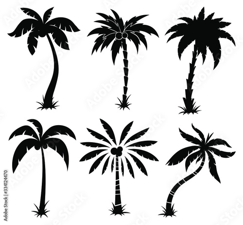 Set of palm trees. Collection of silhouette of palm tree. The contours of tropical plants. Black white illustration of coconut trees. Tattoo.