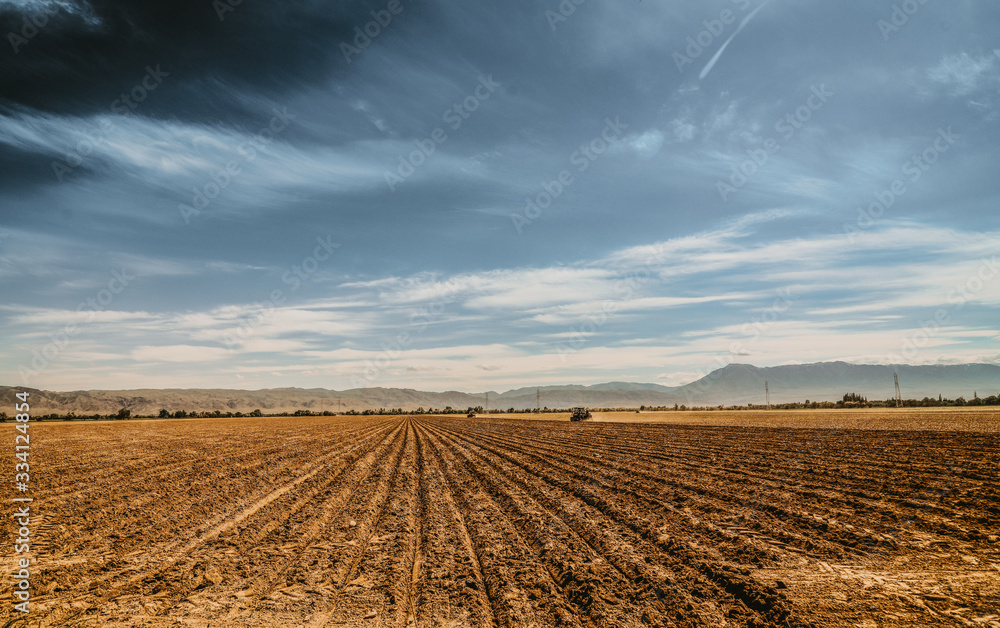 plowed field and blue sky