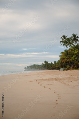 Fototapeta Naklejka Na Ścianę i Meble -  The coast of the Indian Ocean at dawn in Sri Lanka in March 2020. Calm beautiful water and azure blue waves
