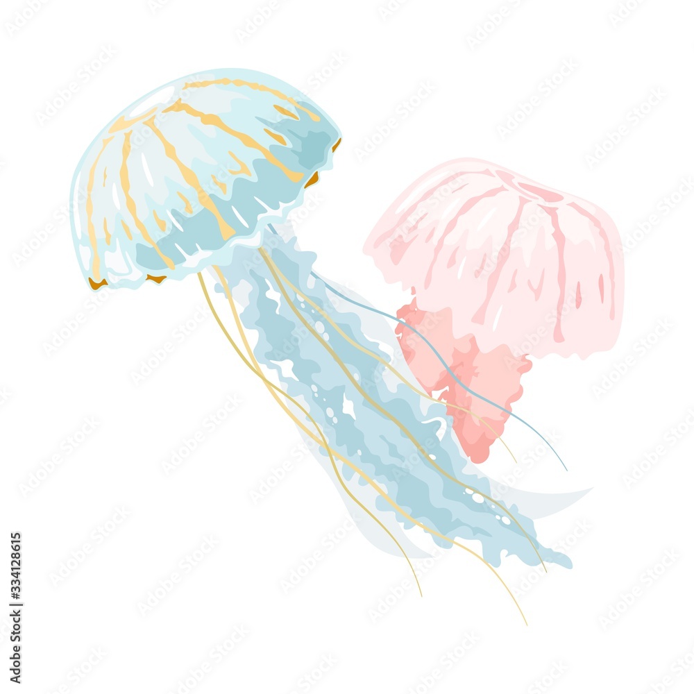 Vektorová grafika „Light blue and pink jellyfishes or medusae are free