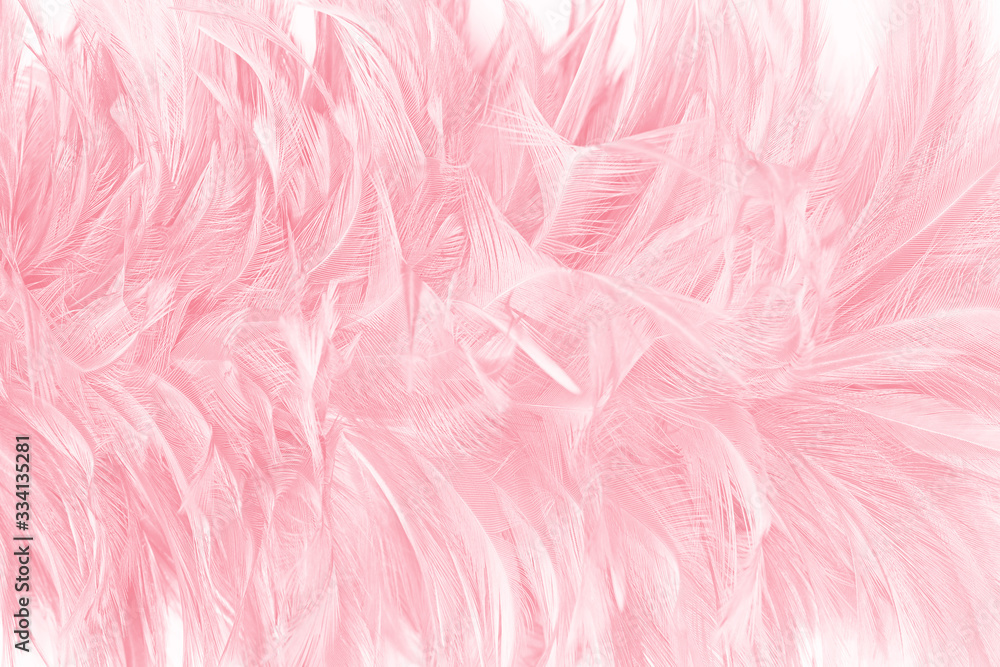 Fototapeta premium Beautiful soft pink feather pattern texture background
