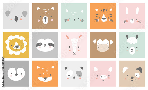 Photo Cute simple animal portraits - hare, tiger, bear, sloth, cat, koala, fox, alpaca, llama, panda, penguin, lion, dog, goat, pig