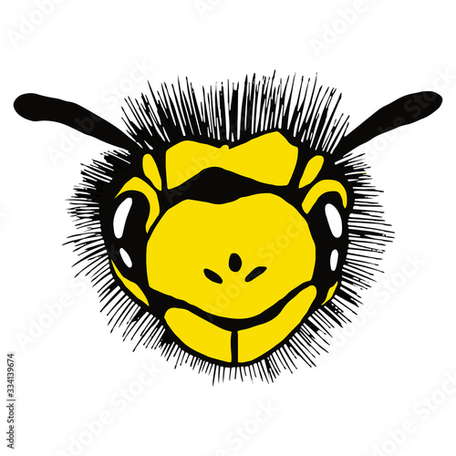 Wasp face on an isolated white background. Insect in cartoon style. Stock vector illustration. photo