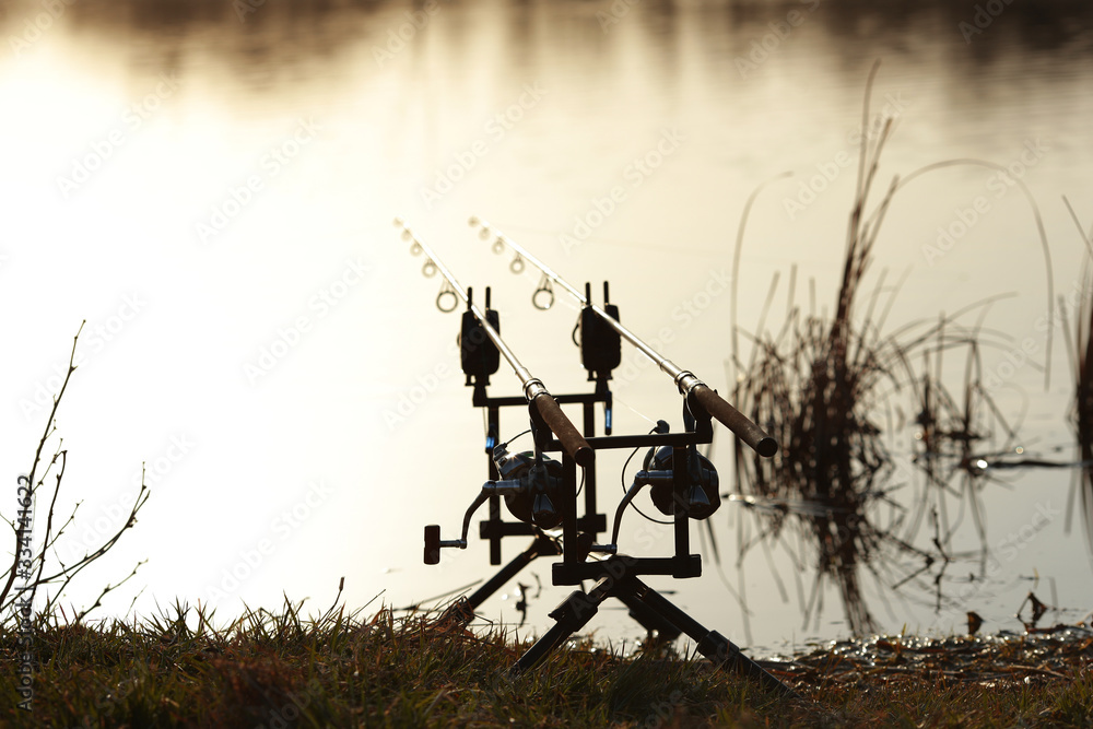 carp stand for fishing rods on the lake carp stand for fishing rods on the lake