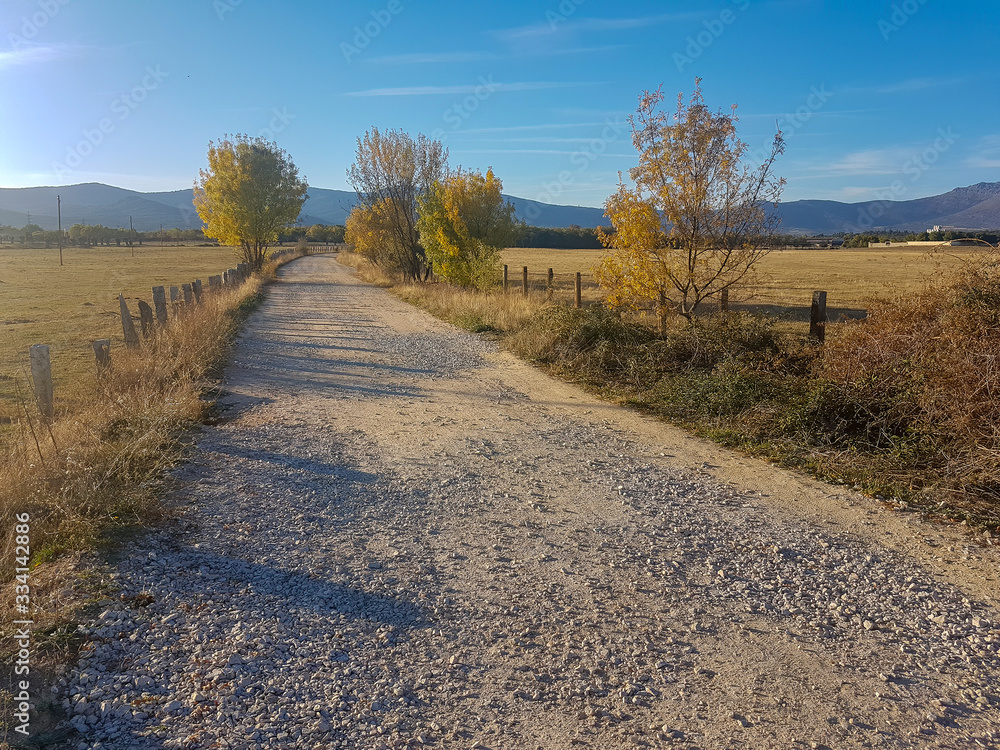 Fototapeta premium wide dirt road bordered by a fence