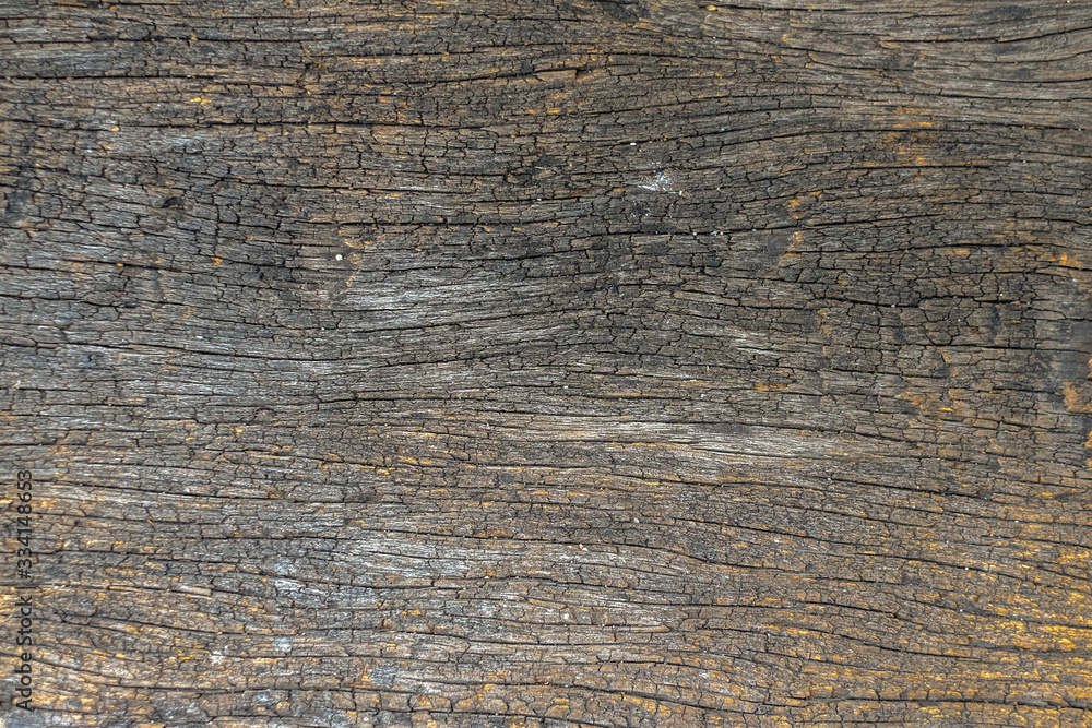 Obraz premium Vintage & old wooden for background or texture- space for your content.