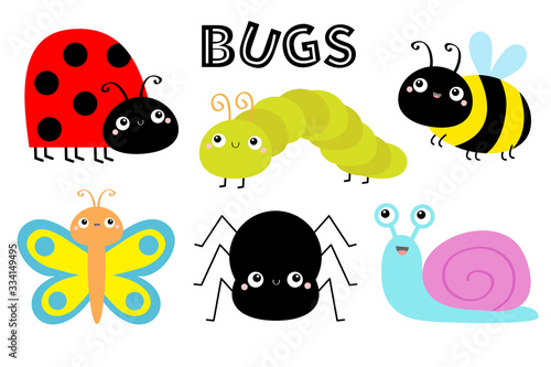 Ladybug ladybird, green caterpillar, butterfly, spider, lady bug honey bee, snai, beetle. Insect set. Cute cartoon kawaii baby animal character. Flat design. White background. Isolated.