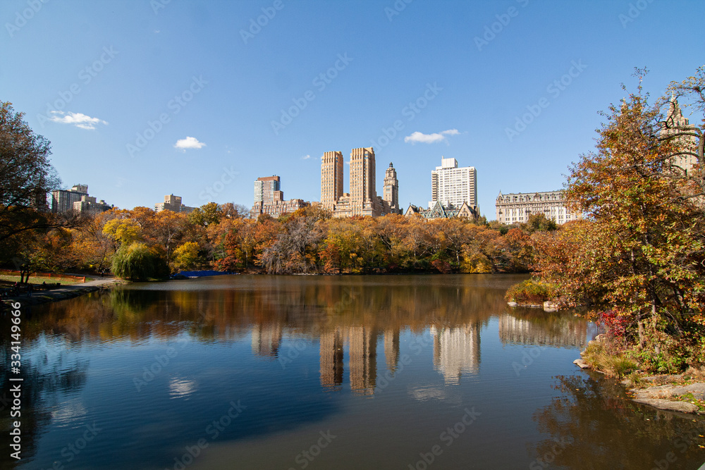 autumn landscape in central park with buildings in background