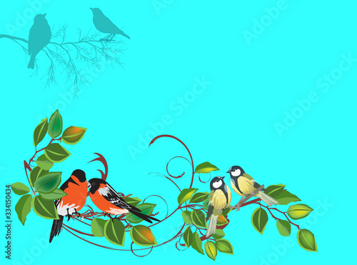 birds couples on cyan background