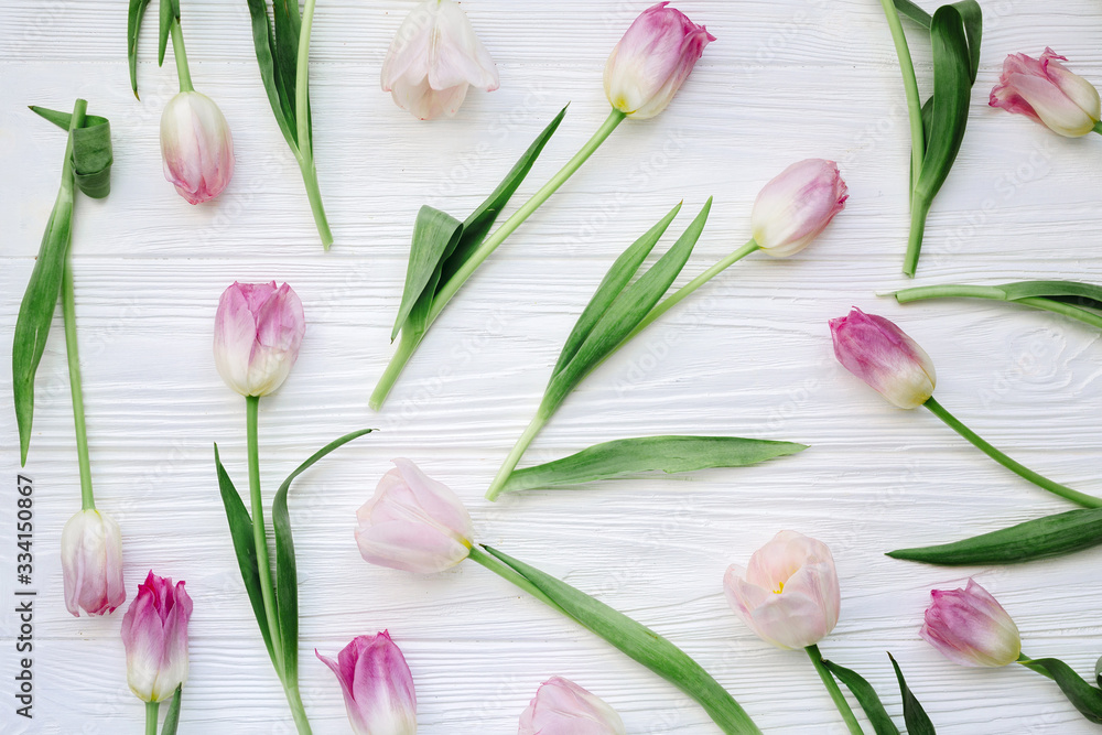 Obraz premium Group of white and pink tulips on white wooden background for March 8, Women's Day, Birthday, Valentine's Day or Mother's day - Closeup