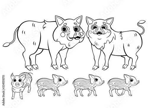 Fototapeta Cute cartoon boar family vector coloring page outline
