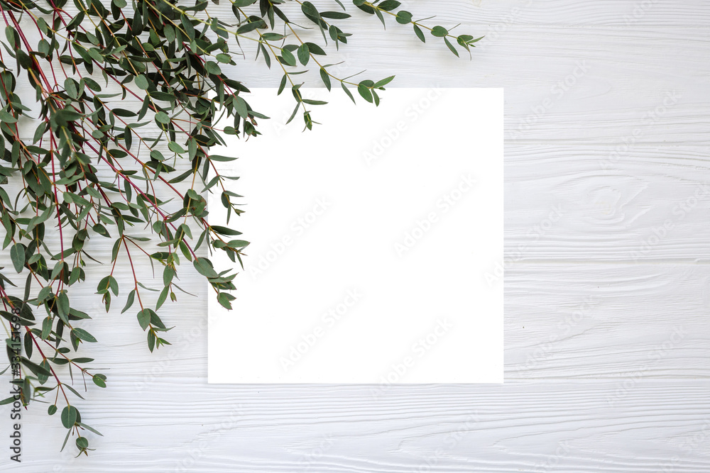 Floral pattern with green leaves on white background top view. Free space for text. Draft for a design. minimalism, creativity. flatlay Floral pattern with green leaves on white background top view. Free space for text. Draft for a design. minimalism, creativity. flatlay