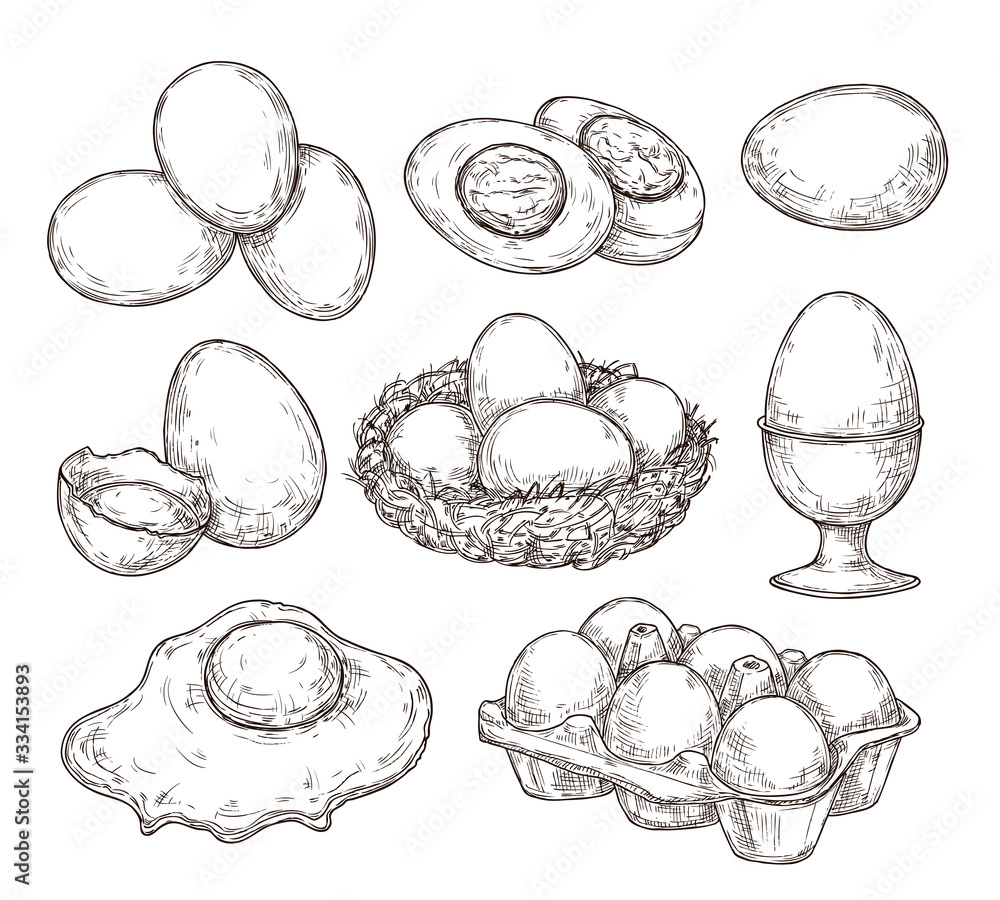 Eggs sketch. Vintage natural egg, broken shell. Hand drawn farming food,  animal products. Drawing ingredients, rustic vector illustration. Shell  chicken egg, natural sketch yolk fried Stock Vector | Adobe Stock
