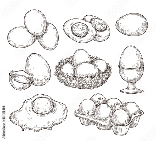 Eggs sketch. Vintage natural egg, broken shell. Hand drawn farming food, animal products. Drawing ingredients, rustic vector illustration. Shell chicken egg, natural sketch yolk fried