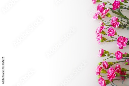 Сard with pink carnations. Arrangement of red flowers on a white background. Top view, place for text (copy space). Backdrop for mother's day, valentine's day, wedding. Decorative floral frame, border