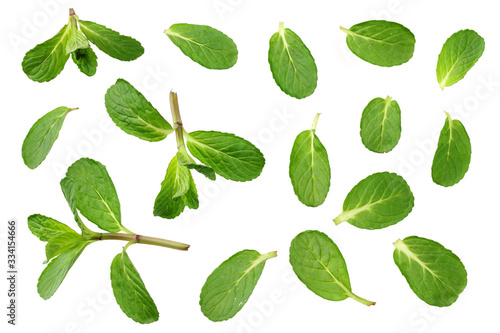 Fresh mint leaves isolated on white background. top view
