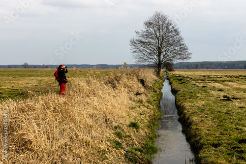 Person watching nature through binoculars. Canal ditch with water and tree landscape. Drained wetland Pulwy. Porzadzie, Poland, Europe.