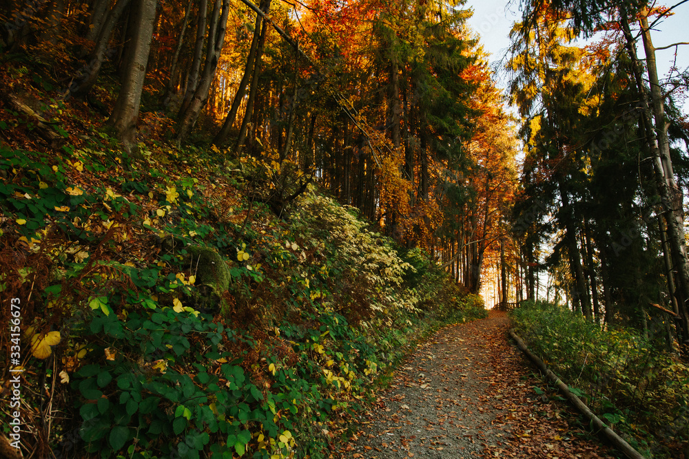 Fototapeta premium Beautiful autumn sunny Babia Gora