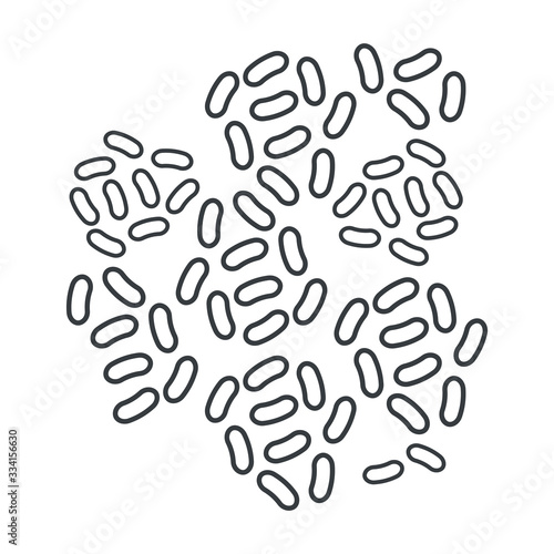 Pro biotic bacteria, Good microorganisms concept isolated